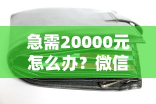急需20000元怎么办？微信支付咋样借钱的呢试试这5个无门槛平台
