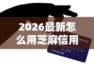 2026最新怎么用芝麻信用贷款（支持微信），7个不看征信利息低的正规网贷平台无私分享