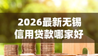 2026最新无锡信用贷款哪家好下款，总结十个大学生贷款平台！