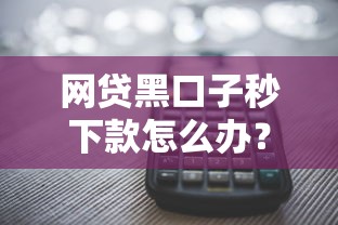 网贷黑口子秒下款怎么办？这6个平台借钱不还怎么处理可以试试