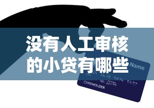 没有人工审核的小贷有哪些？盘点6个信用卡贷款平台给你参考