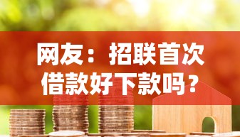 网友：招联首次借款好下款吗？求介绍几款找贷款平台