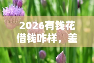 2026有钱花借钱咋样,差20000元就选这7个平台 2026有钱花借钱咋样,差20000元就选这7个平台