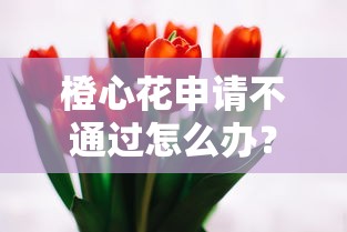 橙心花申请不通过怎么办？这8个无视黑白户最新口子可以试试