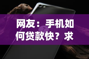 网友：手机如何贷款快？求介绍几款无视黑白户秒下款app