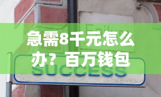 急需8千元怎么办？百万钱包已经不下款了试试这5个无门槛平台