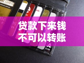 贷款下来钱不可以转账吗（最新发布！）9个有啥贷款平台容易过的