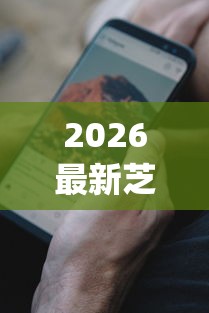 2026最新芝麻分565能贷款吗（支持微信），8个黑征信也能贷款的网贷app无私分享