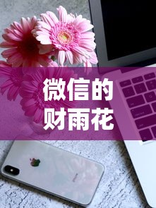 微信的财雨花公众号借钱（最新发布！）6个手机上可以借钱的平台