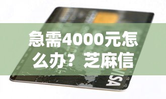 急需4000元怎么办？芝麻信用用什么贷款好试试这8个无门槛平台