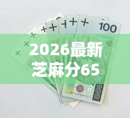 2026最新芝麻分650不看征信，总结十个最新小额贷款必下口子！