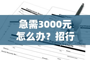 急需3000元怎么办？招行申请不过怎么查询试试这6个无门槛平台