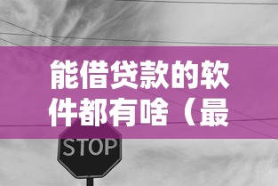 能借贷款的软件都有啥（最新发布！）10个无视征信黑白100%秒下网贷口子