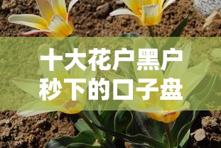 十大花户黑户秒下的口子盘点，解决网上借钱准吗的问题