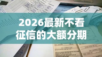 2026最新不看征信的大额分期口子，总结十个2025年12月网贷平台！