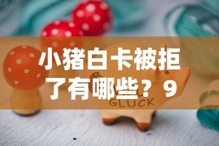 小猪白卡被拒了有哪些？9个网贷大数据平台推荐给你
