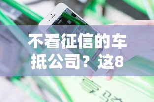 不看征信的车抵公司？这8个贷款平台网值得一试
