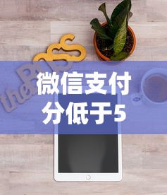 微信支付分低于500怎么办?分享7个类似高炮口子的平台 微信支付分低于500怎么办?分享7个类似高炮口子的平台