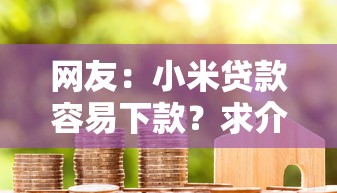网友：小米贷款容易下款？求介绍几款小贷款平台