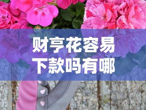财亨花容易下款吗有哪些？10个貌似免审批、综合评分不足也能下款的网贷合集