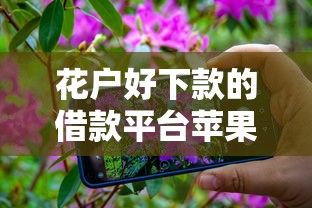 花户好下款的借款平台苹果手机就选这6个1000元平台贷款好
