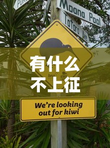 有什么不上征信的贷款选哪个平台？7个好的贷款平台推荐