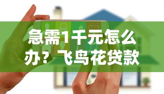 急需1千元怎么办？飞鸟花贷款容易下款吗试试这5个无门槛平台