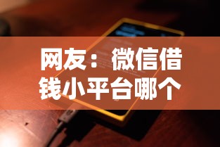 网友：微信借钱小平台哪个好？求介绍几款征信黑了还能借钱的平台