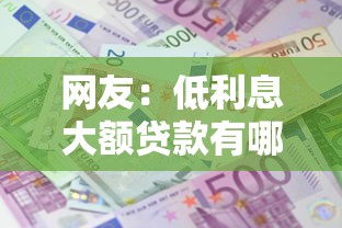 网友：低利息大额贷款有哪些？求介绍几款有借款平台黑户也能借