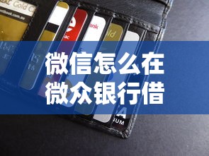 微信怎么在微众银行借钱？2026最新测评10个哪些贷款平台上征信
