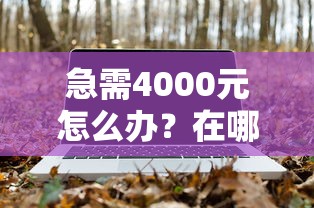 急需4000元怎么办？在哪里可以快速借到钱的软件试试这7个无门槛平台