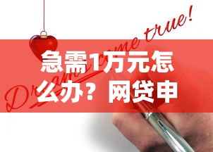 急需1万元怎么办？网贷申请时间试试这5个无门槛平台
