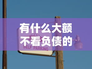 有什么大额不看负债的？这5个黑户都能下的平台可以试试