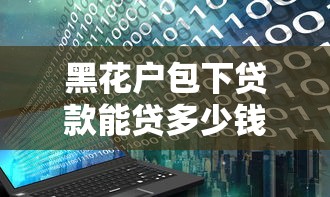 黑花户包下贷款能贷多少钱？看看这6个一站式贷款平台怎么样