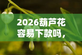 2026葫芦花容易下款吗，差1千元就选这6个平台