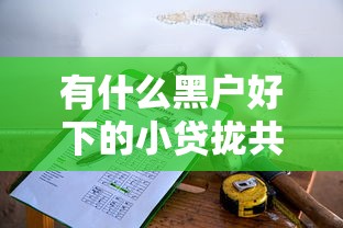 有什么黑户好下的小贷拢共有哪些选择？8个正规的大额贷款平台详解