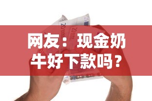 网友：现金奶牛好下款吗？求介绍几款借得到的贷款平台