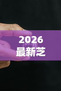 2026最新芝麻分583能在哪里贷款，总结十个征信黑了的人贷款的平台！