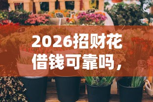 2026招财花借钱可靠吗，差8千元就选这7个平台