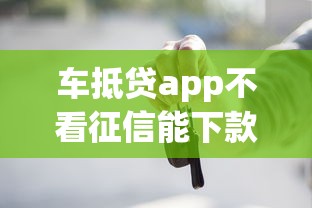 车抵贷app不看征信能下款吗？这5个第三方贷款平台值得一试