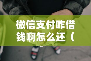 微信支付咋借钱啊怎么还（最新发布！）7个网贷征信查询平台