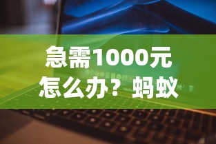 急需1000元怎么办？蚂蚁借呗app试试这5个无门槛平台
