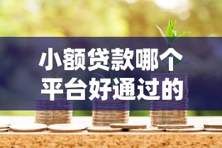 小额贷款哪个平台好通过的话，可以看看这8个工资贷款平台