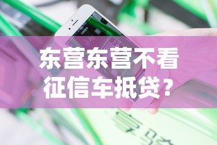 东营东营不看征信车抵贷？分享6个6千元无门槛私借平台