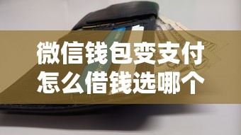 微信钱包变支付怎么借钱选哪个平台？5个网贷平台网贷怎么样推荐