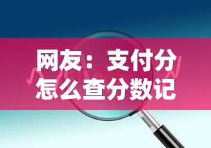 网友：支付分怎么查分数记录？求介绍几款借钱的平台100%能借到利息低