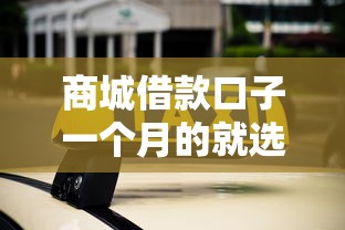 商城借款口子一个月的就选这8个4000元最新黑口子秒过的