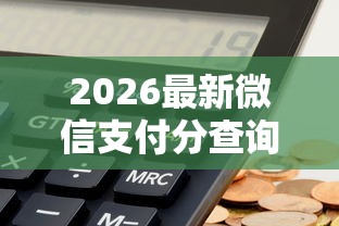 2026最新微信支付分查询记录，总结十个黑户下钱的口子！