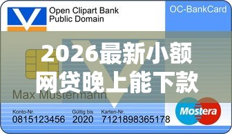 2026最新小额网贷晚上能下款吗，总结十个信用贷款平台好！