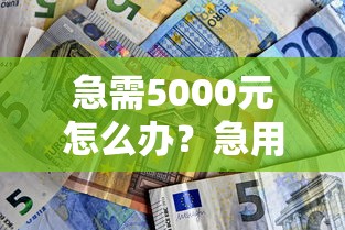 急需5000元怎么办？急用钱找个人贷款试试这8个无门槛平台